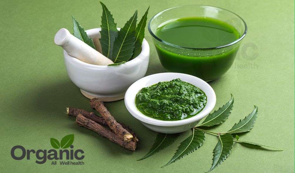 benefits of Neem tree in Hindi