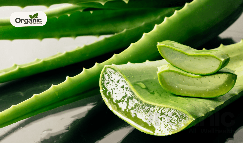 Aloe Vera Well Health Organic