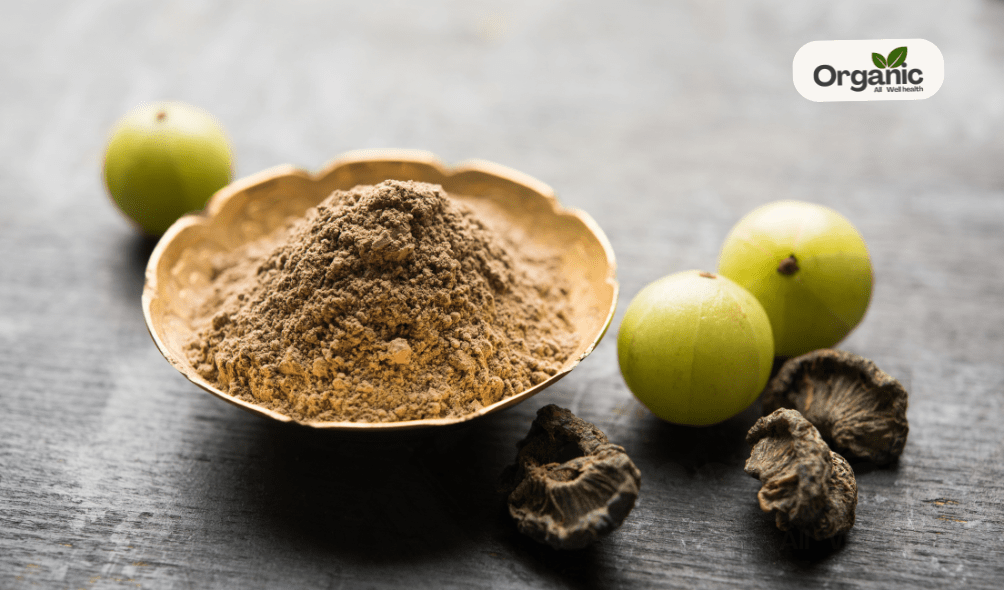 Amla Powder Well Health Organic