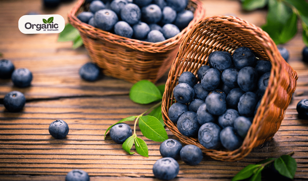 Blueberries All Well Health Organic