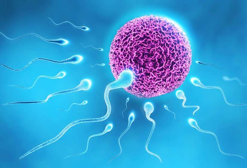 IVF clinic