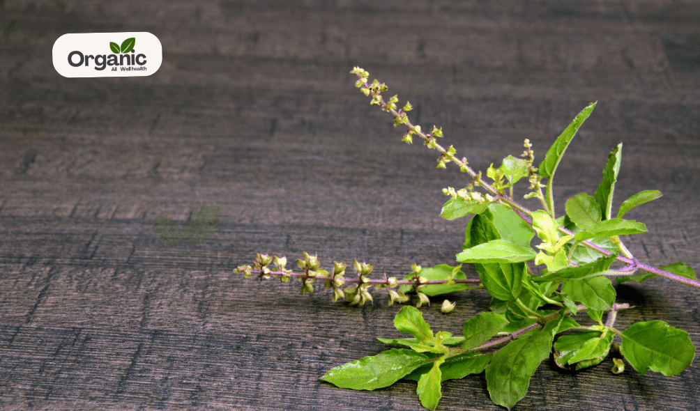 Tulsi All Wellhealthorganic