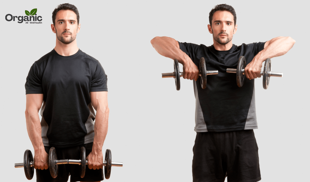 Best Exercises for Arms Allwellhealthorganic (2)