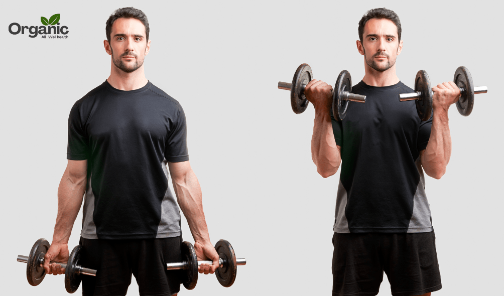 Best Exercises for Arms Allwellhealthorganic (4)