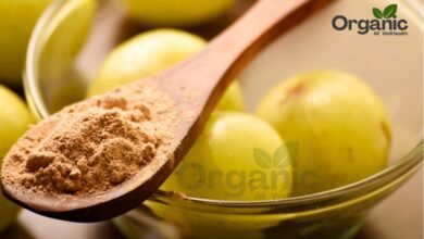 Amla Powder: Uses for Hair and Others in Hindi