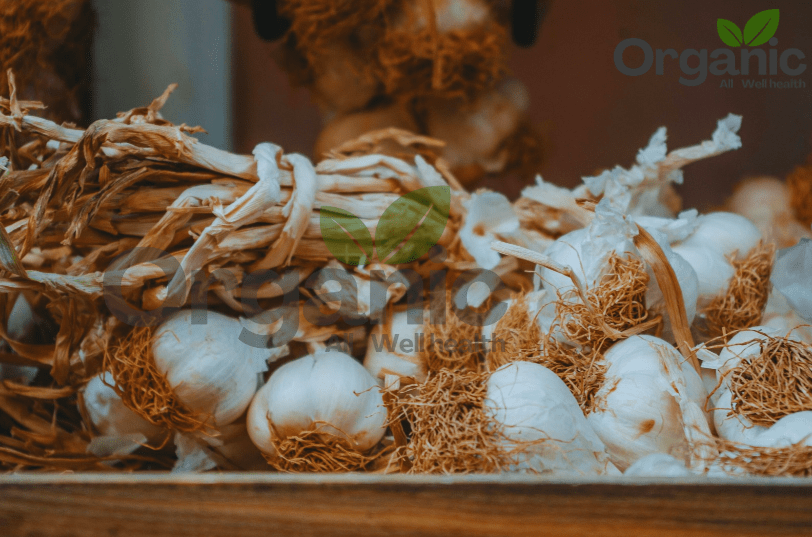 Transform Your Health with Essential WellHealthOrganic Home Remedies Benefits of Garlic