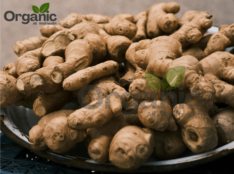 Transform Your Health with Essential WellHealthOrganic Home Remedies Benefits of Ginger 