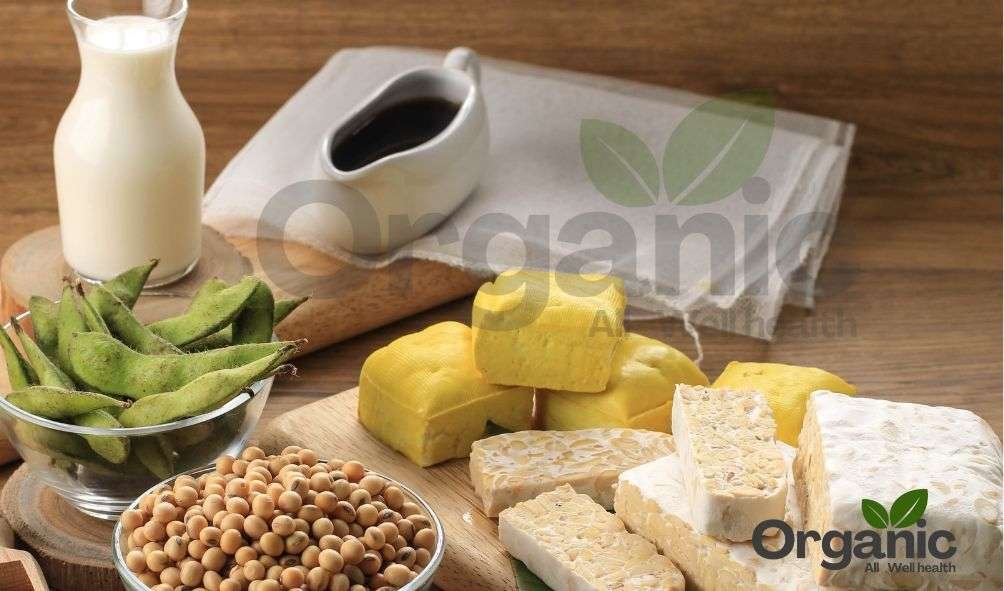 wellhealthorganic.com : vegetarian protein source archives