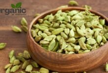 Cardamom Health Benefits