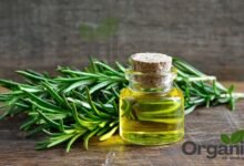 Rosemary oil