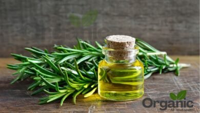 Rosemary oil