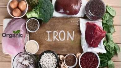 Iron rich foods