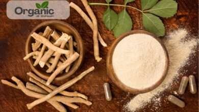 Benefits of Ashwagandha in Hindi