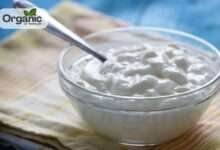 Dahi का सेवन कैसे करें सुरक्षित रूप से