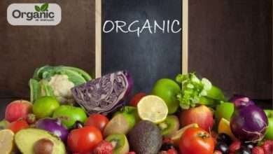 Organic Food Benefits