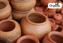 Earthen Pot water