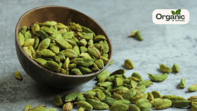 Cardamom Health Benefits