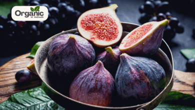 Fig - स्वास्थ्य और पोषण का खजाना