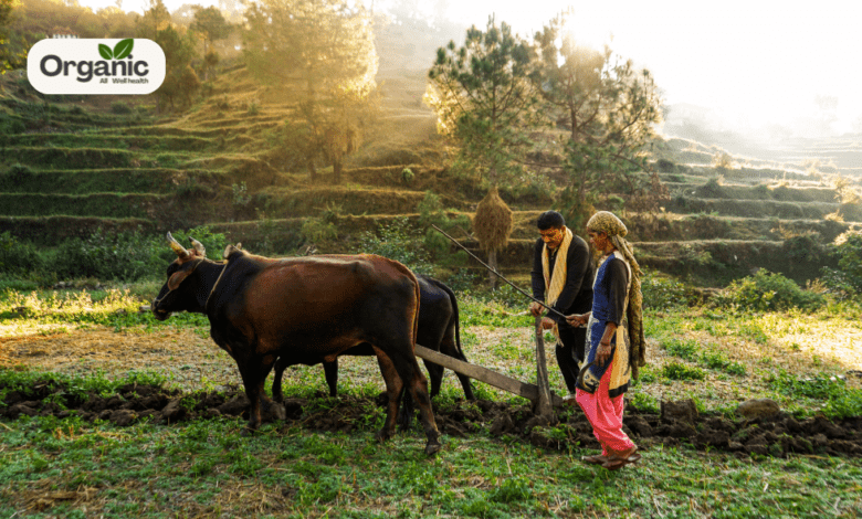 Why Organic Farming is Better for the Environment