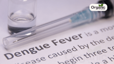 Dengue Fever