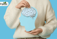 Common Types of Brain Injuries