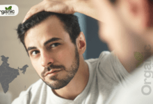India Is the Top Destination for Hair Transplant