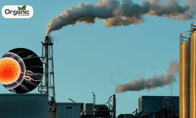 Toxic Air Quality - How It Affects Sperm Health