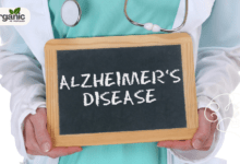Alzheimer Disease