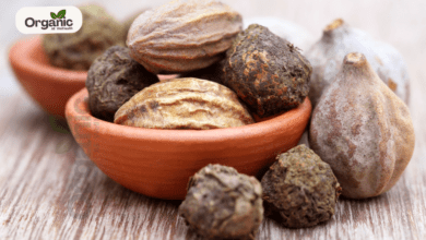 Benefits Of Eating Haritaki