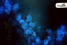 Examorelin Peptide