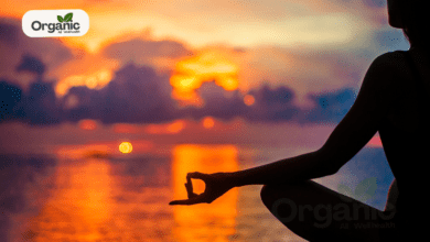 Meditation Poses