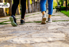 The Benefits of Starting Your Day with a Walk
