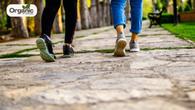 The Benefits of Starting Your Day with a Walk