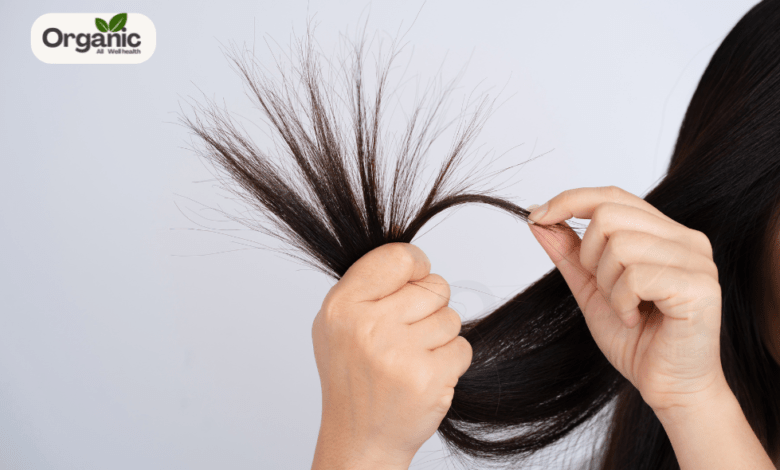 What to Know About Split Ends