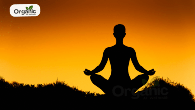 Make Meditation Easier and Successful