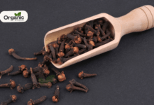 10 Amazing Benefits of Chewing Cloves Every Morning On An Empty Stomach All Wellhealthorganic