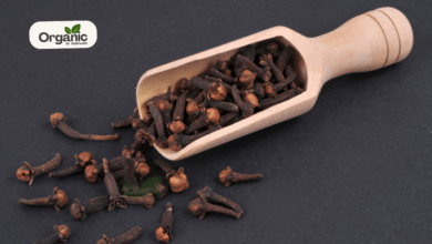 10 Amazing Benefits of Chewing Cloves Every Morning On An Empty Stomach All Wellhealthorganic
