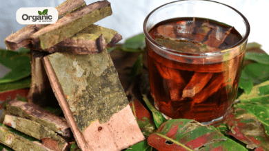 Arjuna Bark Health Benefits All well health organic