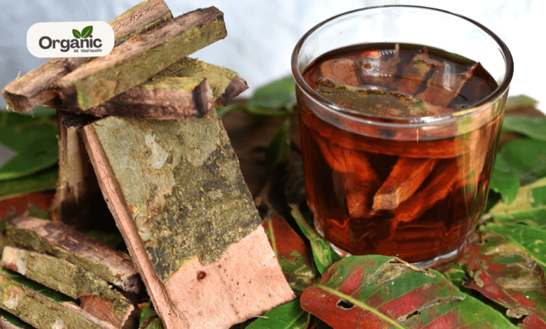 Arjuna Bark Health Benefits All well health organic
