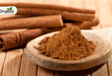 Dalchini ke fayde (Cinnamon Benefits) | सेहत के लिए अद्भुत जड़ी-बूटी