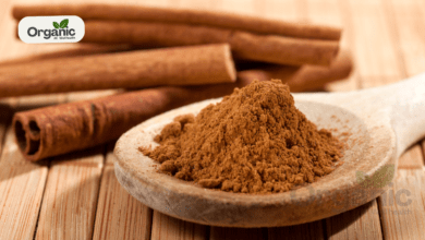 Dalchini ke fayde (Cinnamon Benefits) | सेहत के लिए अद्भुत जड़ी-बूटी