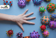 Clear Warning Symptoms You Are Infected With Dengue Virus All Wellhealthorganic