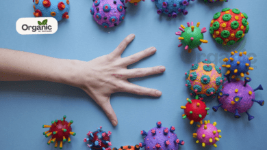 Clear Warning Symptoms You Are Infected With Dengue Virus All Wellhealthorganic