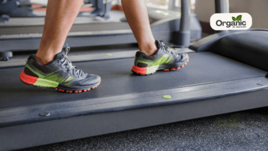 Exercises To Lose Belly Fat All well health organic