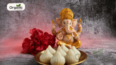 Ganesh Chaturthi 2025 All Wellhealthorganic