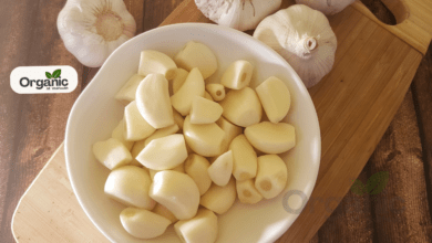 Garlic On Empty Stomach All Well Health Organic