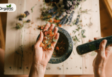 Healing Herbs Benefits