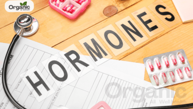 Hormonal Imbalance In Men All well health organic