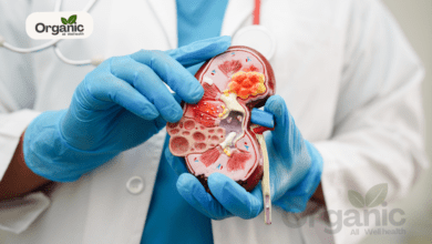 Kidney Damage Symptoms All well health organic