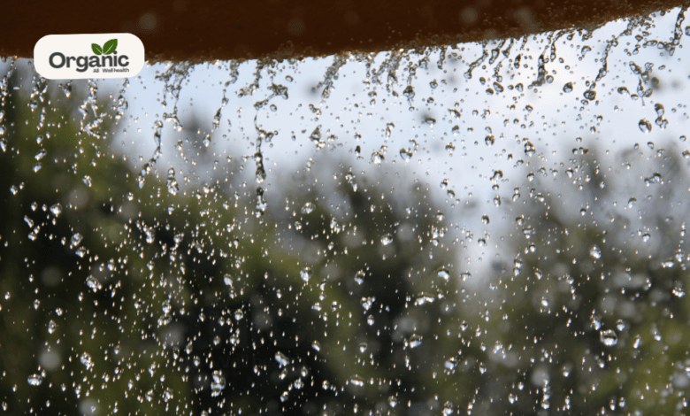 Monsoon Skin Issues Well health Organic